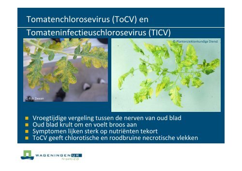 Nederlandse poster - Productschap Tuinbouw