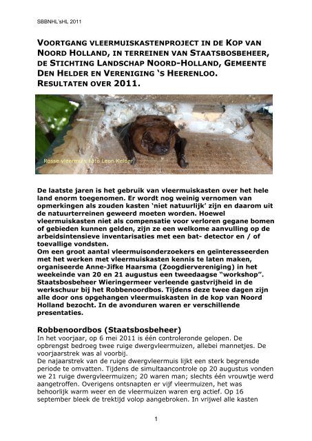 voortgang vleermuiskastenproject in de kop van noord holland, in ...