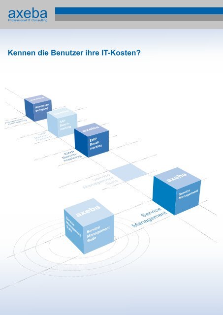 Kennen die Benutzer ihre IT-Kosten? - Axeba AG