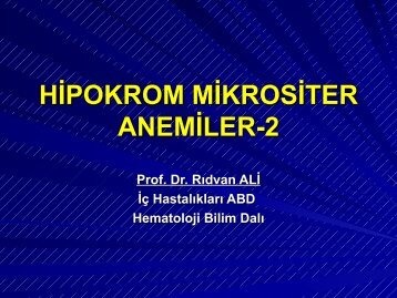 HİPOKROM MİKROSİTER ANEMİLER-2
