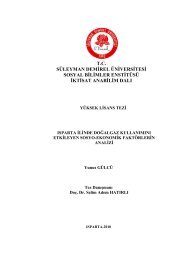 tc suleyman demirel universitesi sosyal bilimler enstitusu enstitu