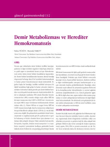 Demir Metabolizması ve Herediter Hemokromatozis - Güncel ...