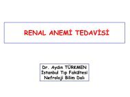 renal anemi tedavisi - Türk Hipertansiyon ve Böbrek Hastalıkları ...