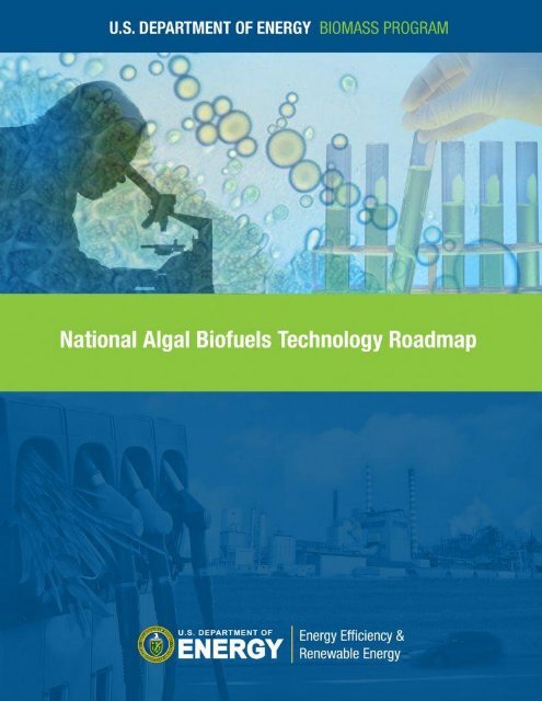 Download the Algal Biofuels Roadmap draft document - Sandia