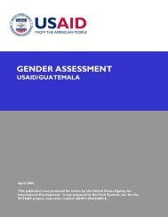 Guatemala Gender Assessment - US Agency for International ...