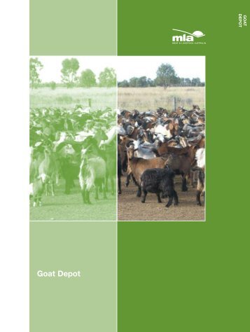 Goat depot - Module 1 - Meat & Livestock Australia