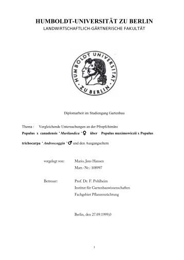 PDF-Datei 812 Kb - Humboldt-Universität zu Berlin