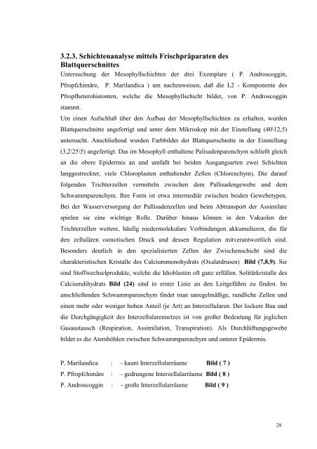 PDF-Datei 812 Kb - Humboldt-Universität zu Berlin