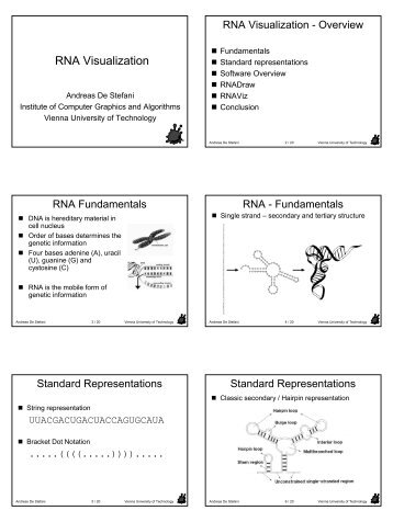 RNA Visualization - Institute of Computer Graphics