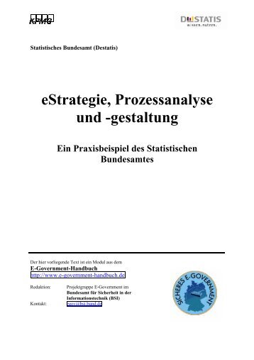 eStrategie, Prozessanalyse und -gestaltung (Destatis) (PDF)