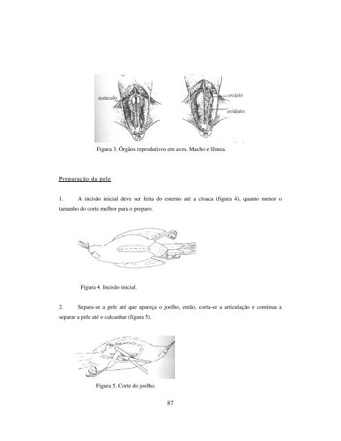 FURB – UNIVERSIDADE REGIONAL DE BLUMENAU - SBO