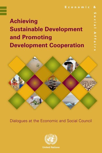 Achieving Sustainable Development and Promoting Development ...