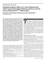 Dominant-Negative Effects of a Novel Mutated Ins2 Allele Causes ...