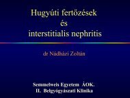 Hugyúti fertőzések és interstitialis nephritis - Semmelweis Egyetem II ...