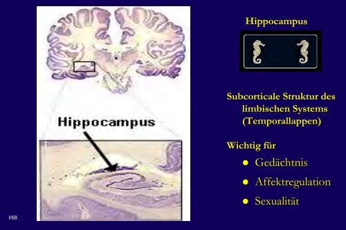 Depressive Störungen im Spannungsfeld von Biologie und ...