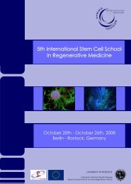 5th International Stem Cell School in Regenerative Medicine