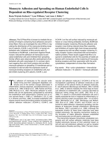 Monocyte Adhesion and Spreading on Human Endothelial Cells Is ...