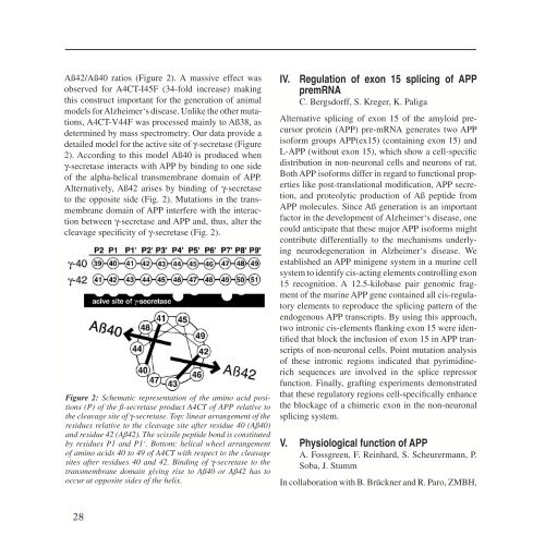 ZMBH J.Bericht 2000 - Zentrum für Molekulare Biologie der ...