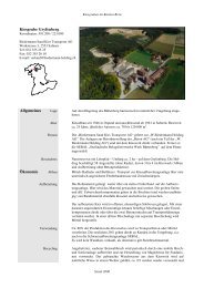 Kiesgrubenportrait - Stiftung Landschaft und Kies