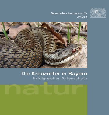 Die Kreuzotter in Bayern - Naturpark Bayerischer Wald