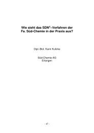 Wie sieht das SDN®–Verfahren der Fa. Süd-Chemie in der ... - Biukat