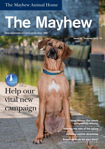 Help our vital new campaign - The Mayhew Animal Home