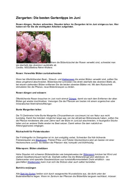 Juni - Verein für Gartenbau und Landespflege e.V. - Hambach