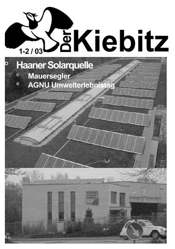 Kiebitz 1 / 2003