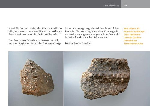 Jahresbericht 2010 - Archäologie Baselland