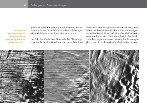 Jahresbericht 2010 - Archäologie Baselland