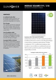 MODULE SOLAIRE E19 / 318 - Solstis