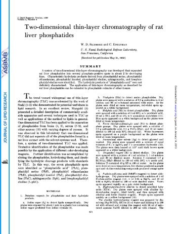 Two-dimensional thin-layer chromatography of rat liver phosphatides