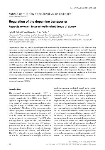 Regulation of the dopamine transporter - Addiction Research ...