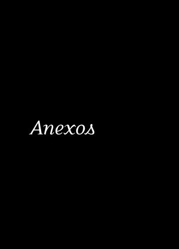 Anexos - Balanço Social