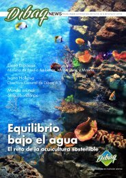 Equilibrio bajo el agua - DIBAQ