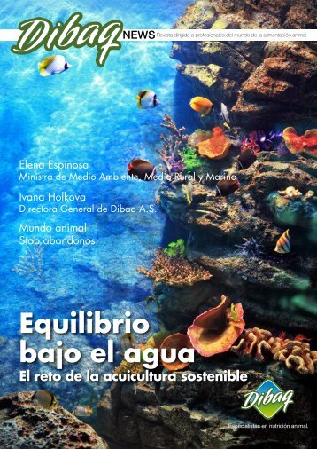 Equilibrio bajo el agua - DIBAQ