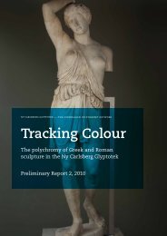 Tracking Colour - Ny Carlsberg Glyptotek