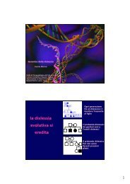 la dislessia evolutiva si eredita