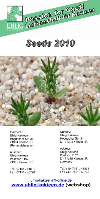 Steinkopf Gabries N Lithops Marmorata T