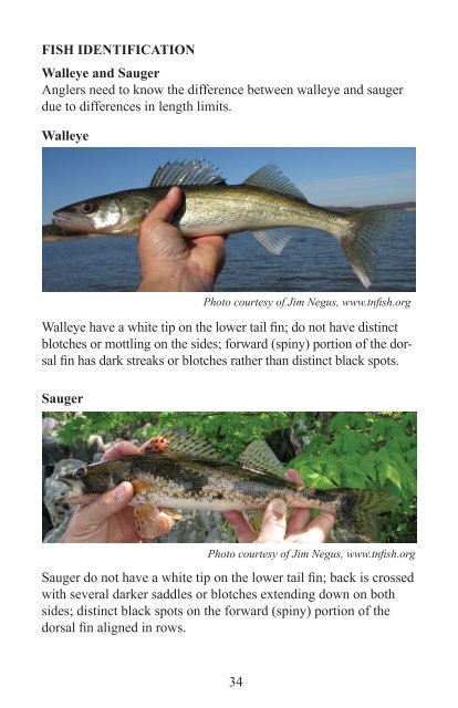 Iowa Fishing Regulations - Iowa Department of Natural Resources