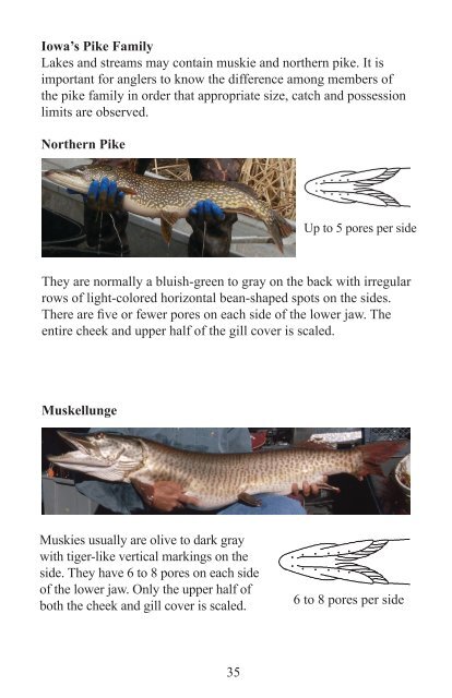 Iowa Fishing Regulations - Iowa Department of Natural Resources