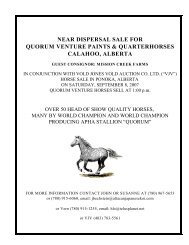 Near dispersal sale for quorum venture paints - Northernhorse.com