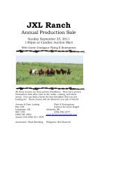 JXL Ranch - Northernhorse.com