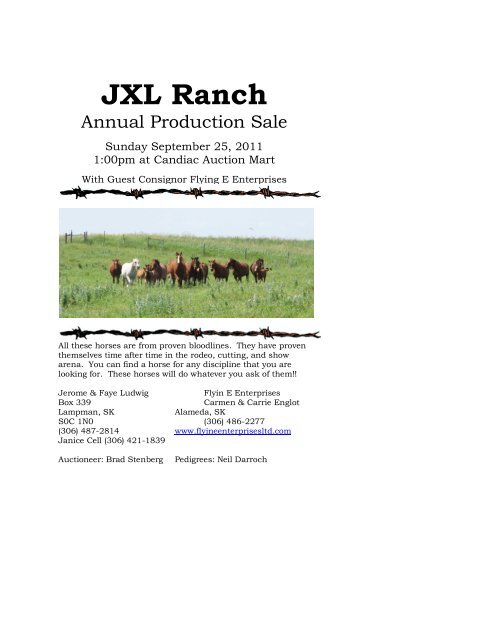 JXL Ranch - Northernhorse.com