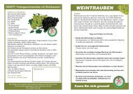 Weintrauben Flyer .indd - Elli Markt