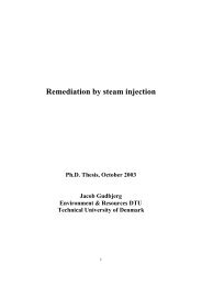 Remediation by steam injection - Fiva