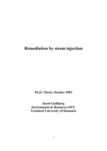 Remediation by steam injection - Fiva