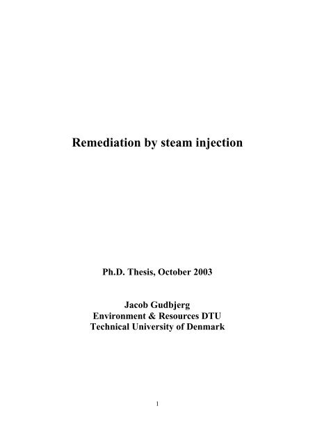 Remediation by steam injection - Fiva