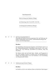 Protokoll der Stadtratssitzung vom 19.07.2007 - Stadt Ellingen