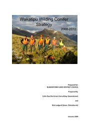 Wakatipu Wilding Conifer Strategy - Queenstown Lakes District ...